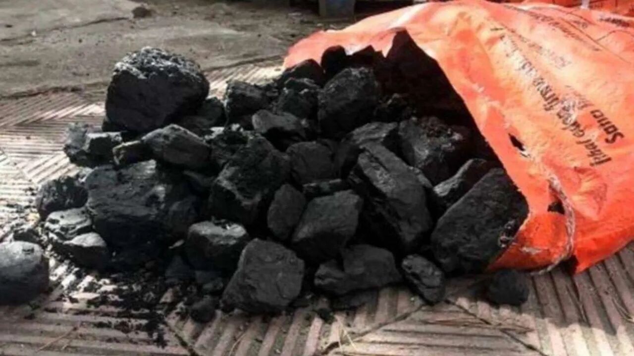 Kömür Dağıtımı-1