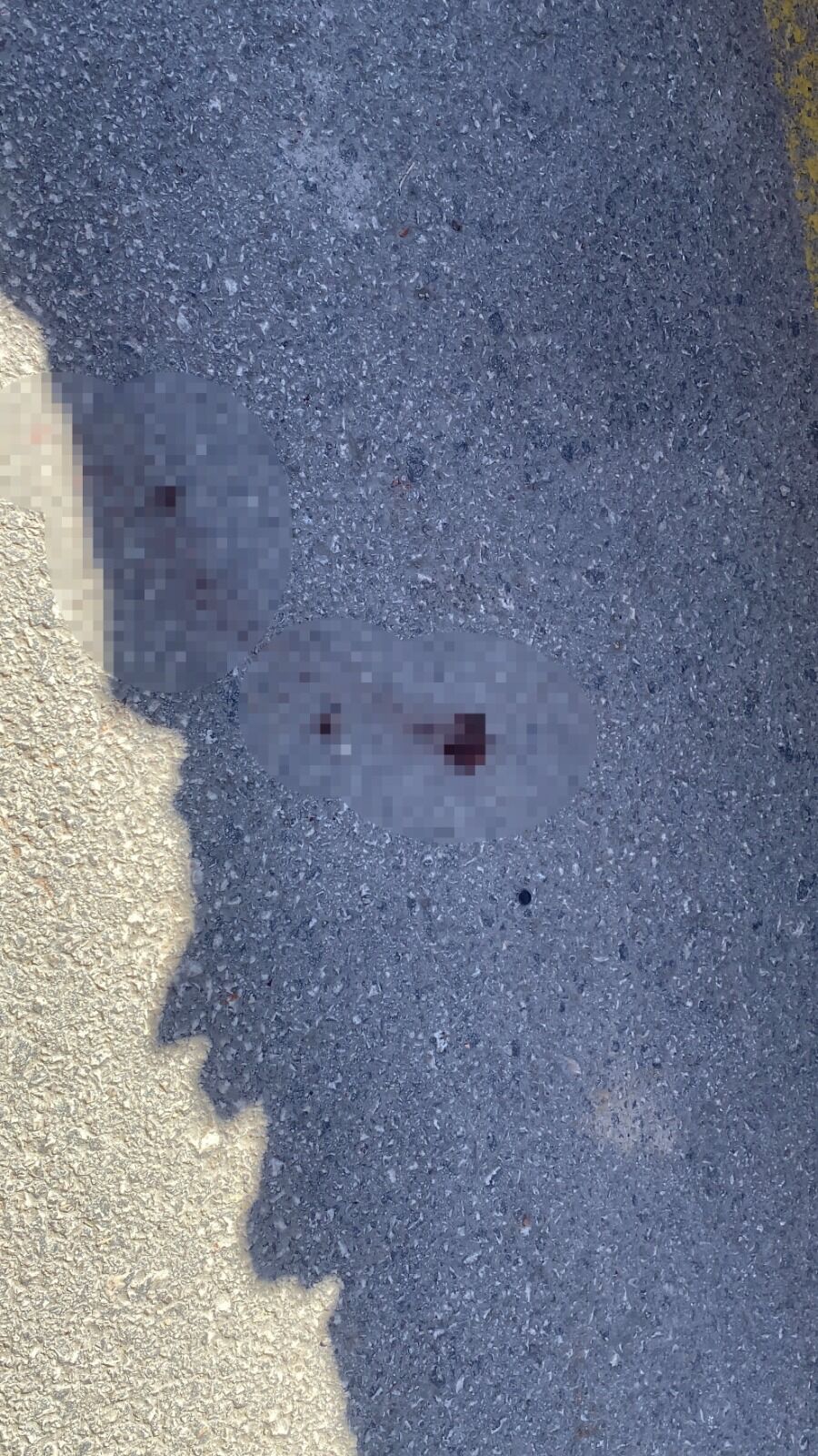 Pazarda Iki Inşaat Firmasının Yetkilileri Kavga Etti Sopalı Kavgada 3 Kişi Yaralandı! 24