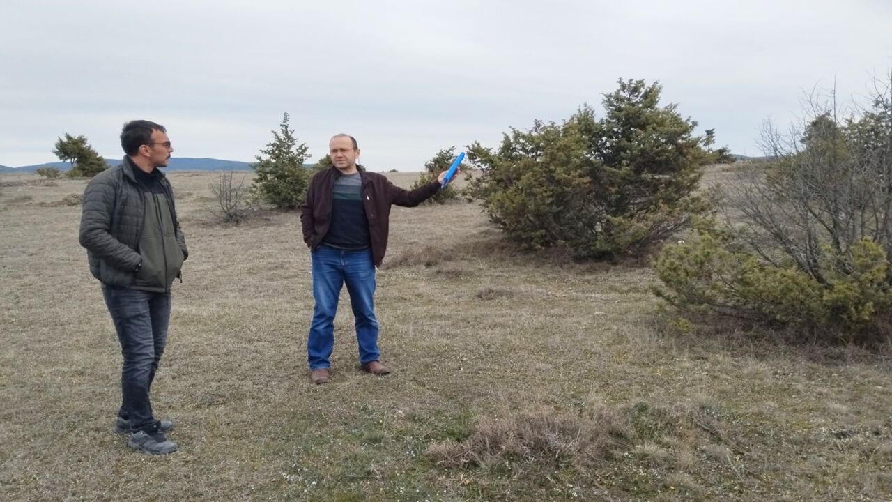 Taşköprü Meraa (3)