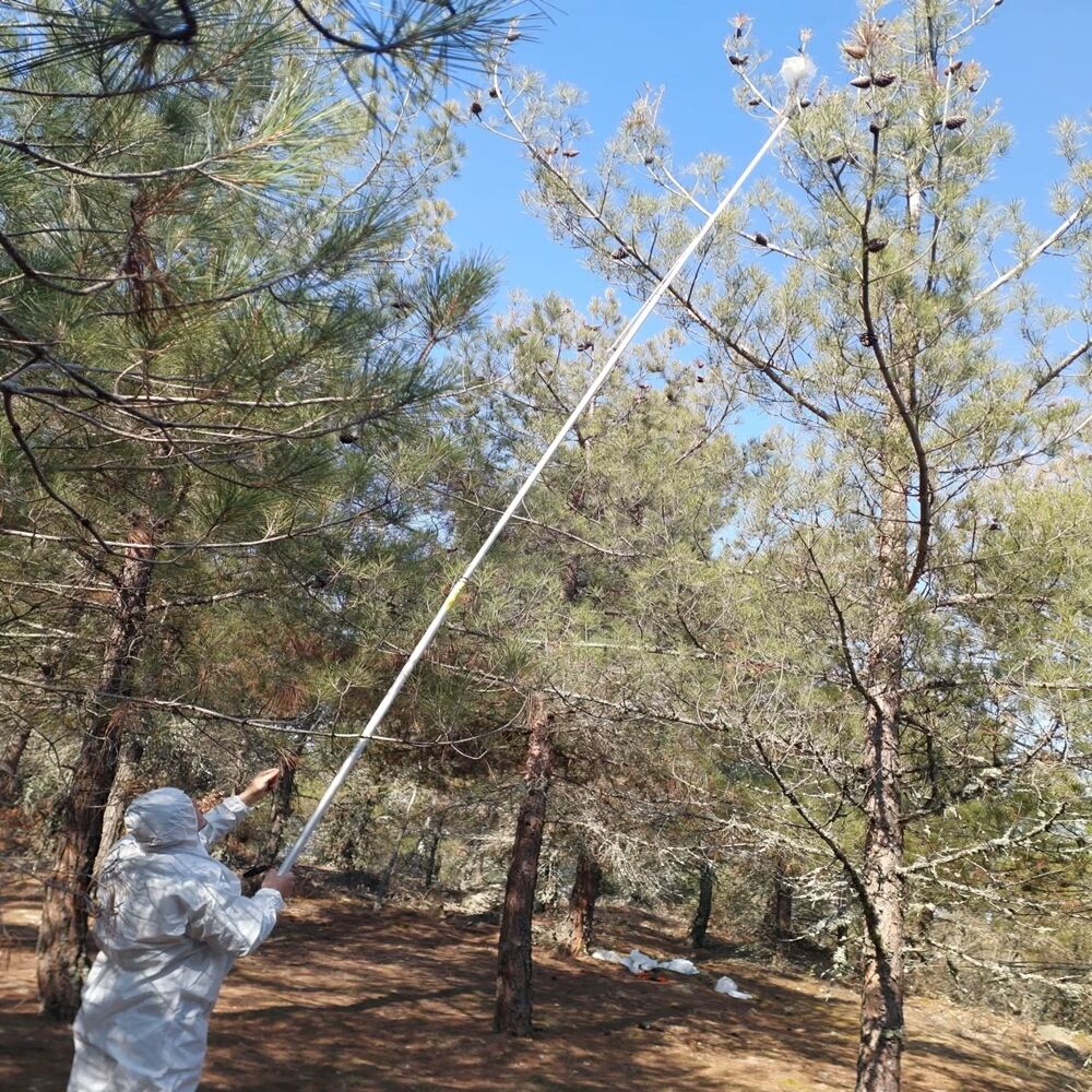 Taşköprü Orman Biyolajik (1)