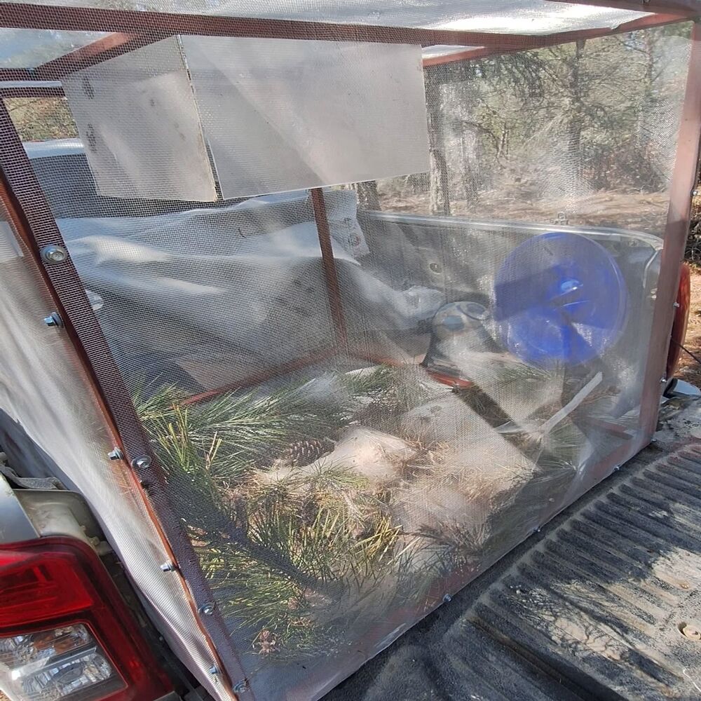 Taşköprü Orman Biyolajik (3)