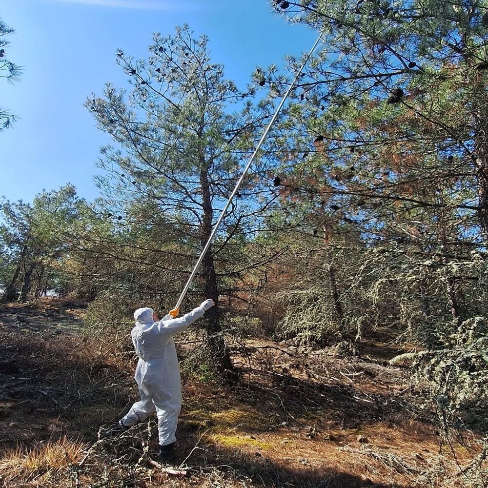 Taşköprü Orman Biyolajik (4)