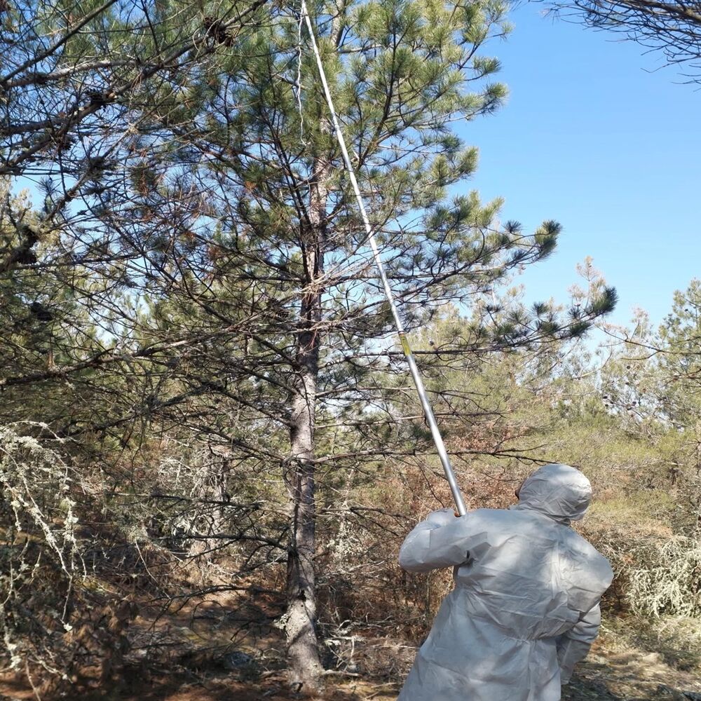 Taşköprü Orman Biyolajik (5)