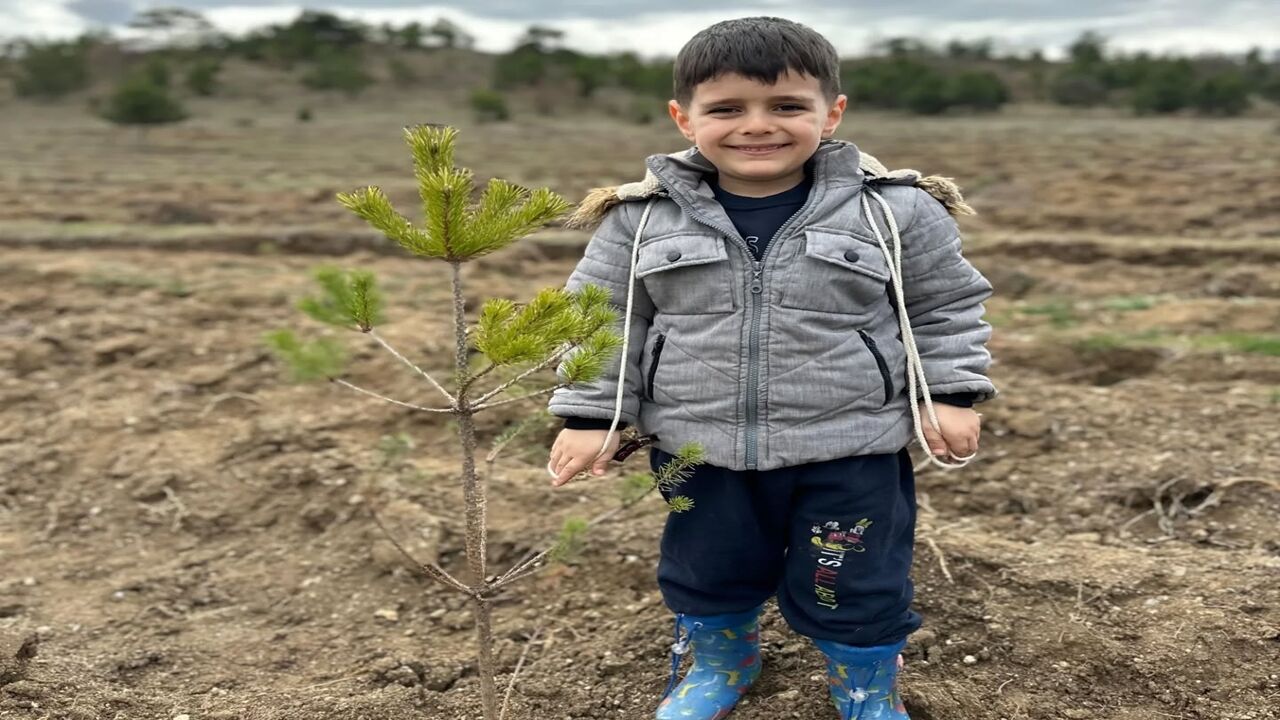 Taşköprü Orman Fidan Dikim (1)