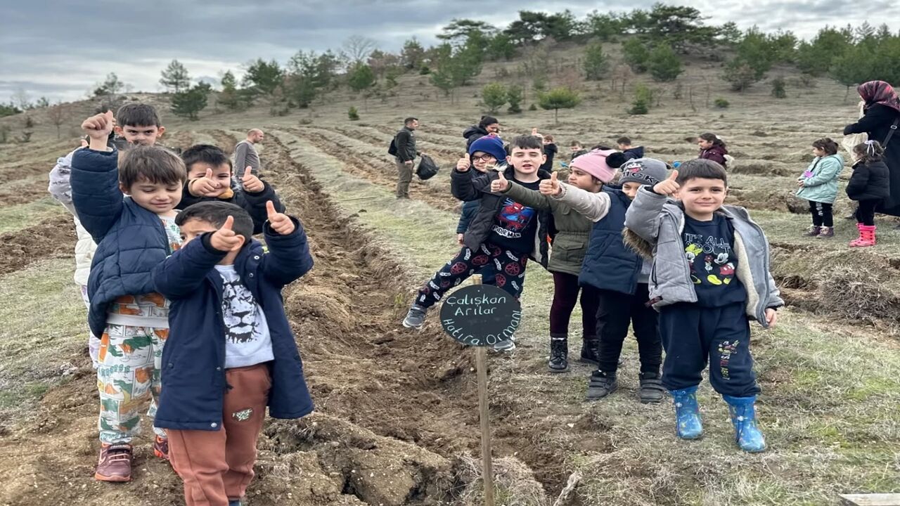 Taşköprü Orman Fidan Dikim (2)