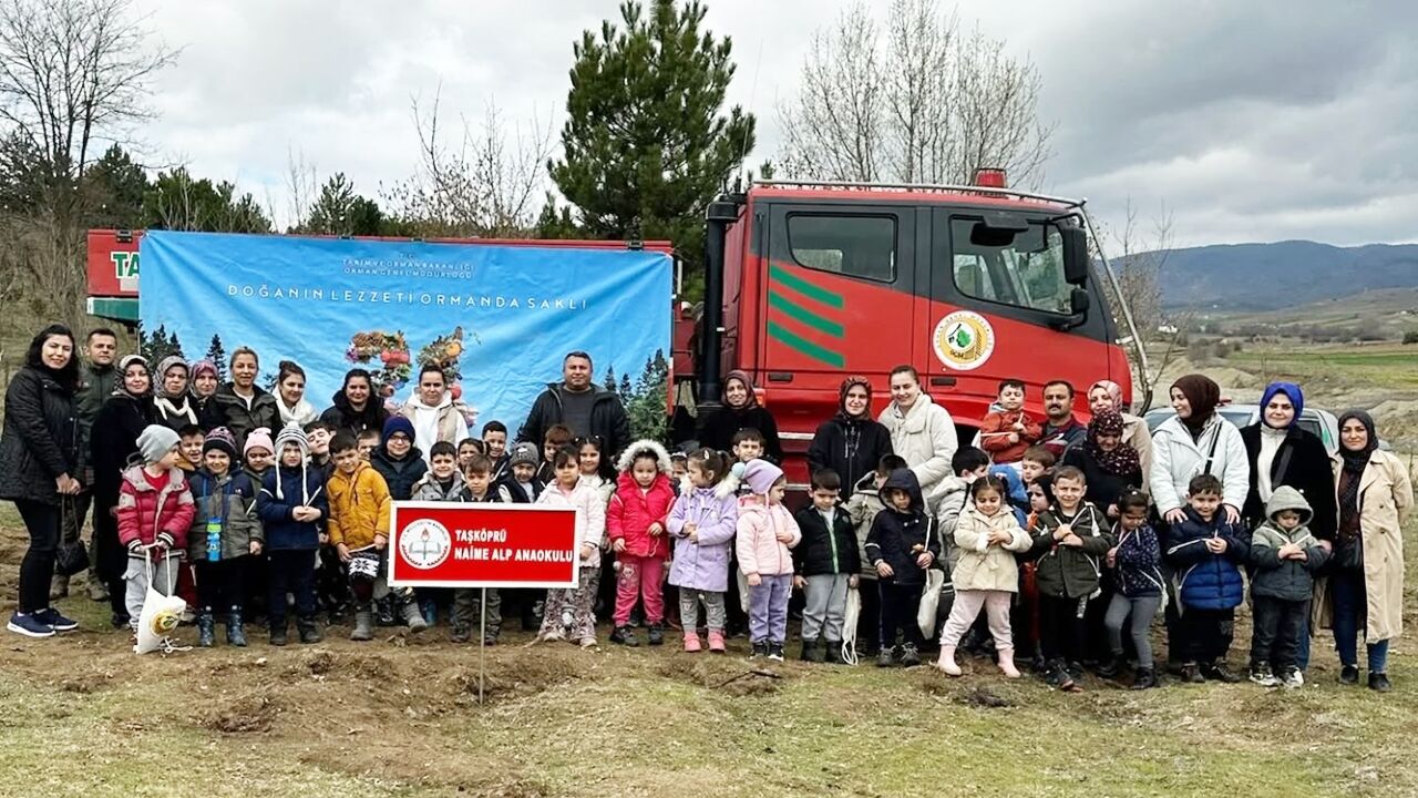 Taşköprü Orman Fidan Dikim (6)