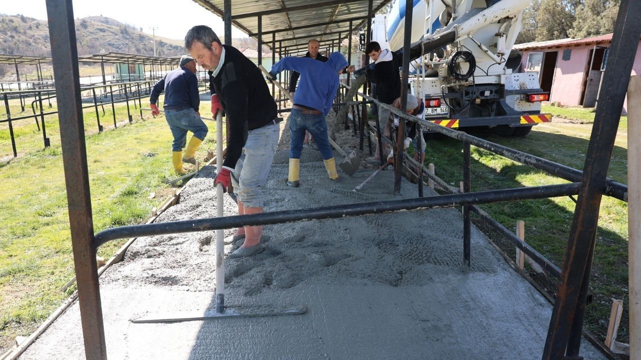 Taşköprü’de Hayvan Pazarına Konfor Sağlayan Dokunuş (2)