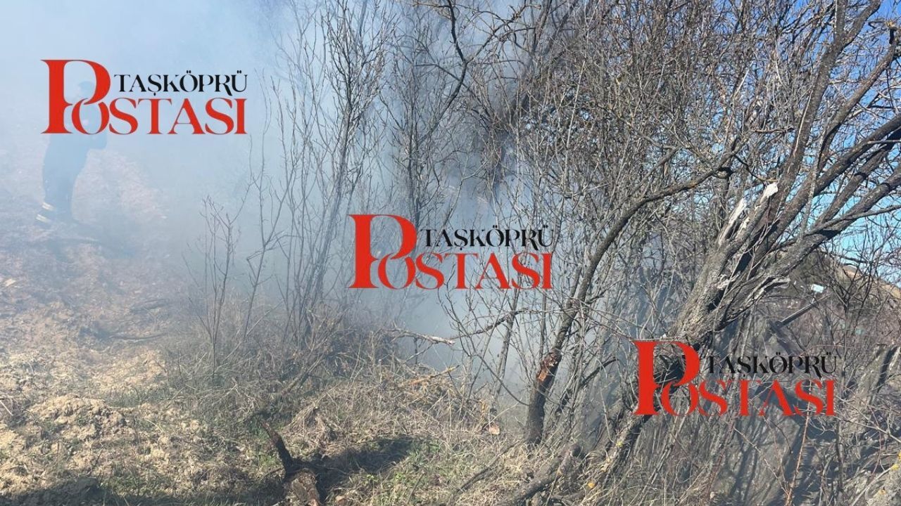 Taşköprü’de Korkutan Yangın Ekipler Alevleri Büyümeden Durdurdu (4)