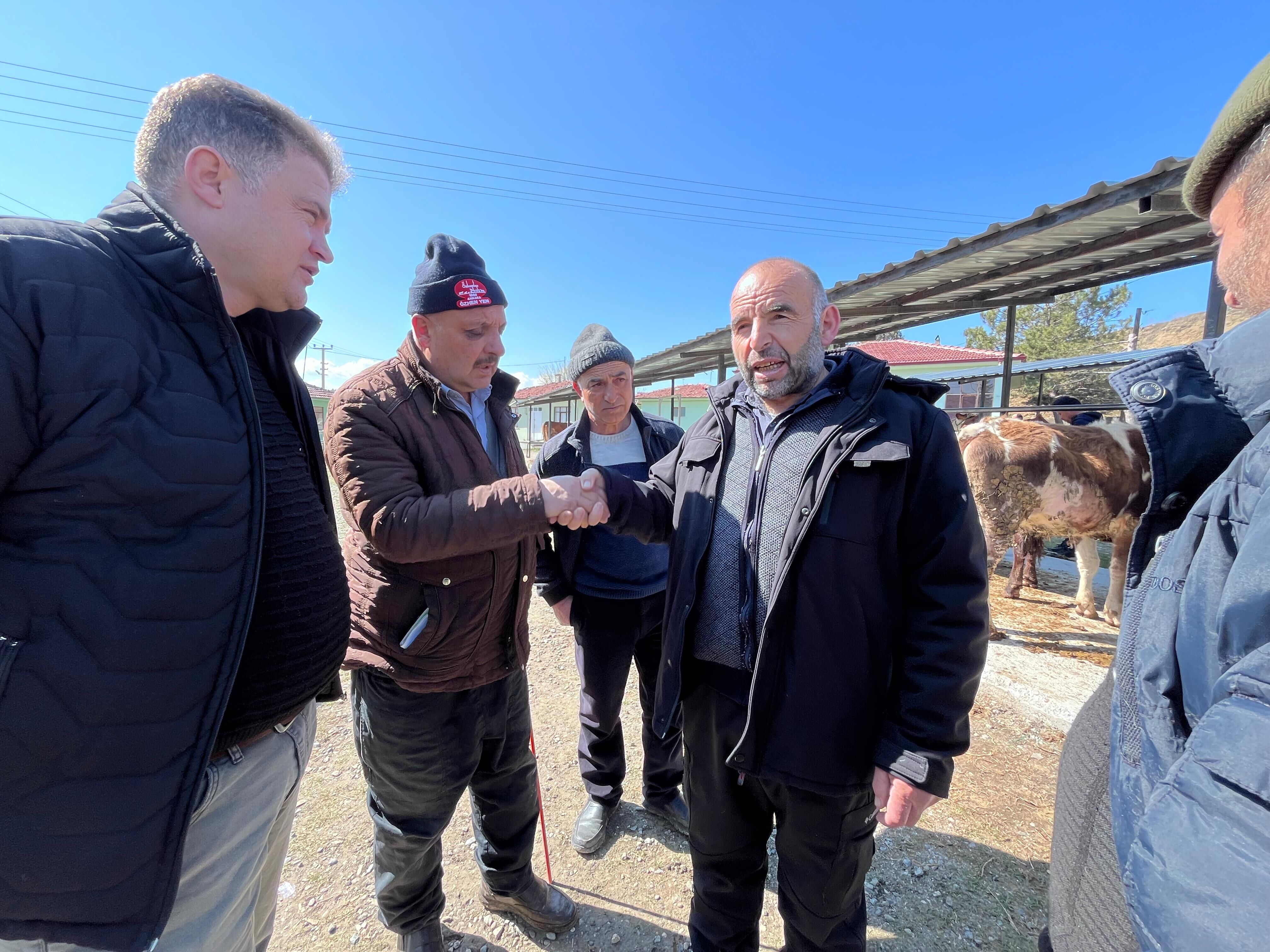 Taşköprü’de Kurbanlık Pazarı Hareketlendi, Pazarlıklar Başladı4