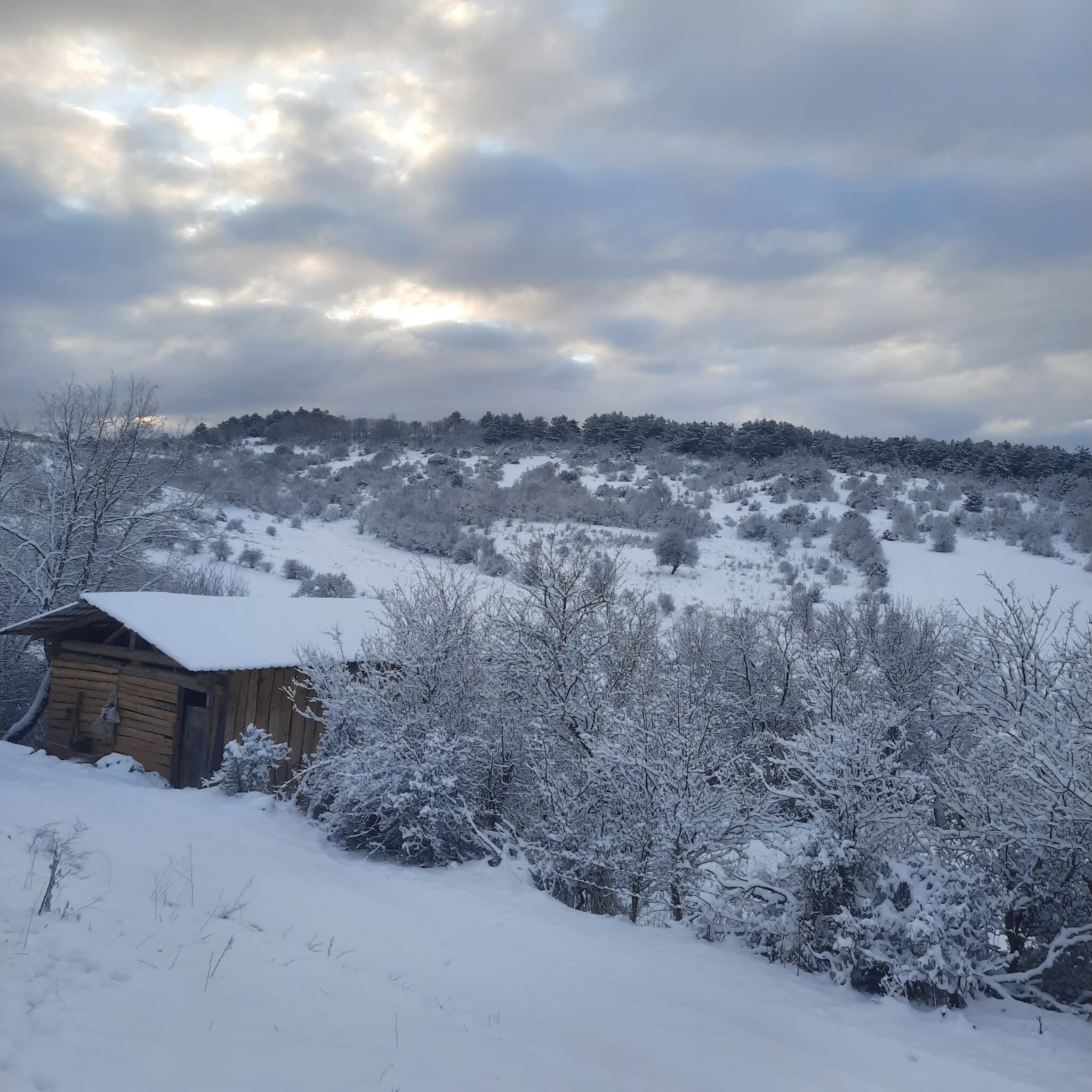 Taşköprü'nün Köyü Beyaz Örtüyle Kaplandı 2