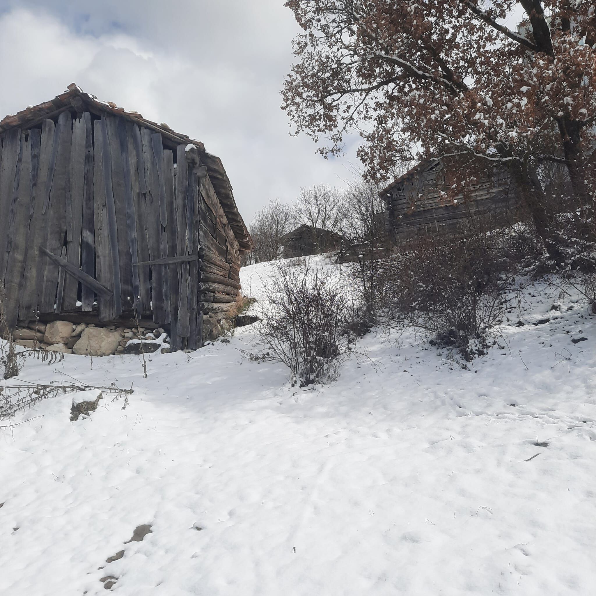 Taşköprü'nün Köyü Beyaz Örtüyle Kaplandı 22