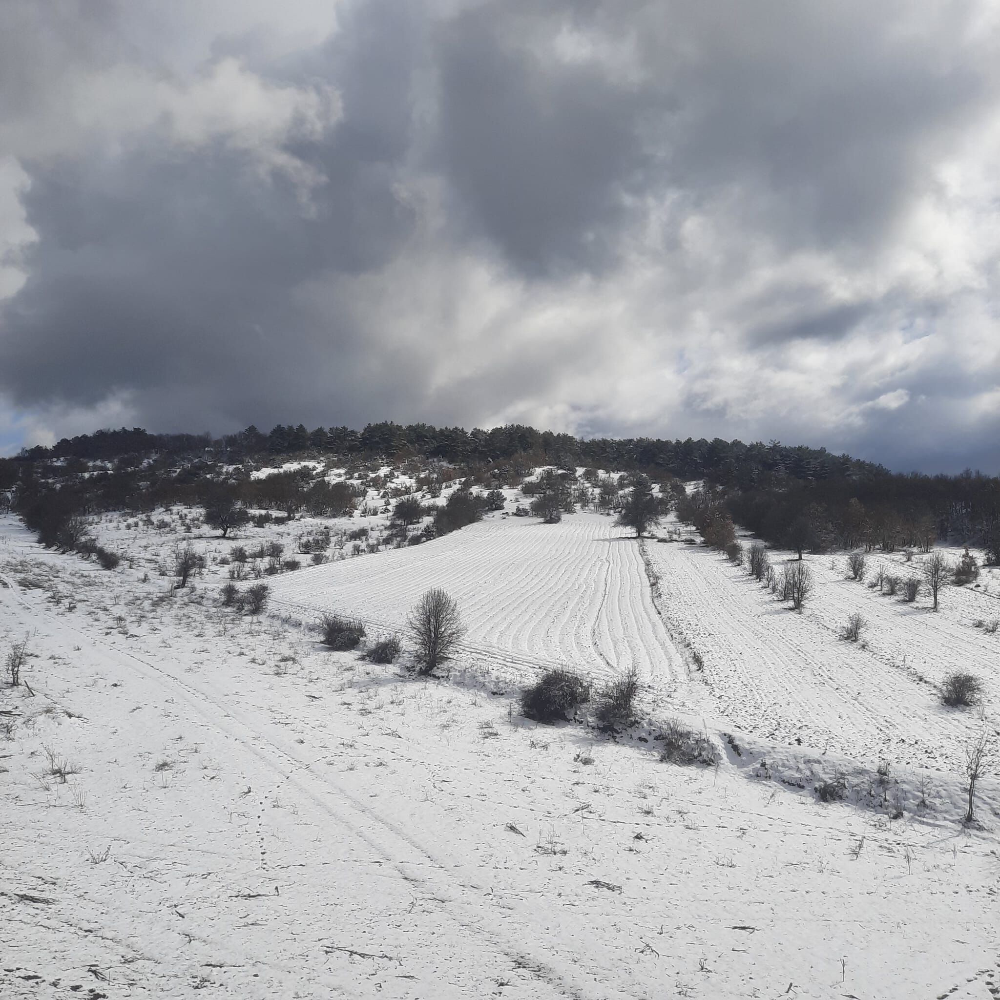 Taşköprü'nün Köyü Beyaz Örtüyle Kaplandı 4