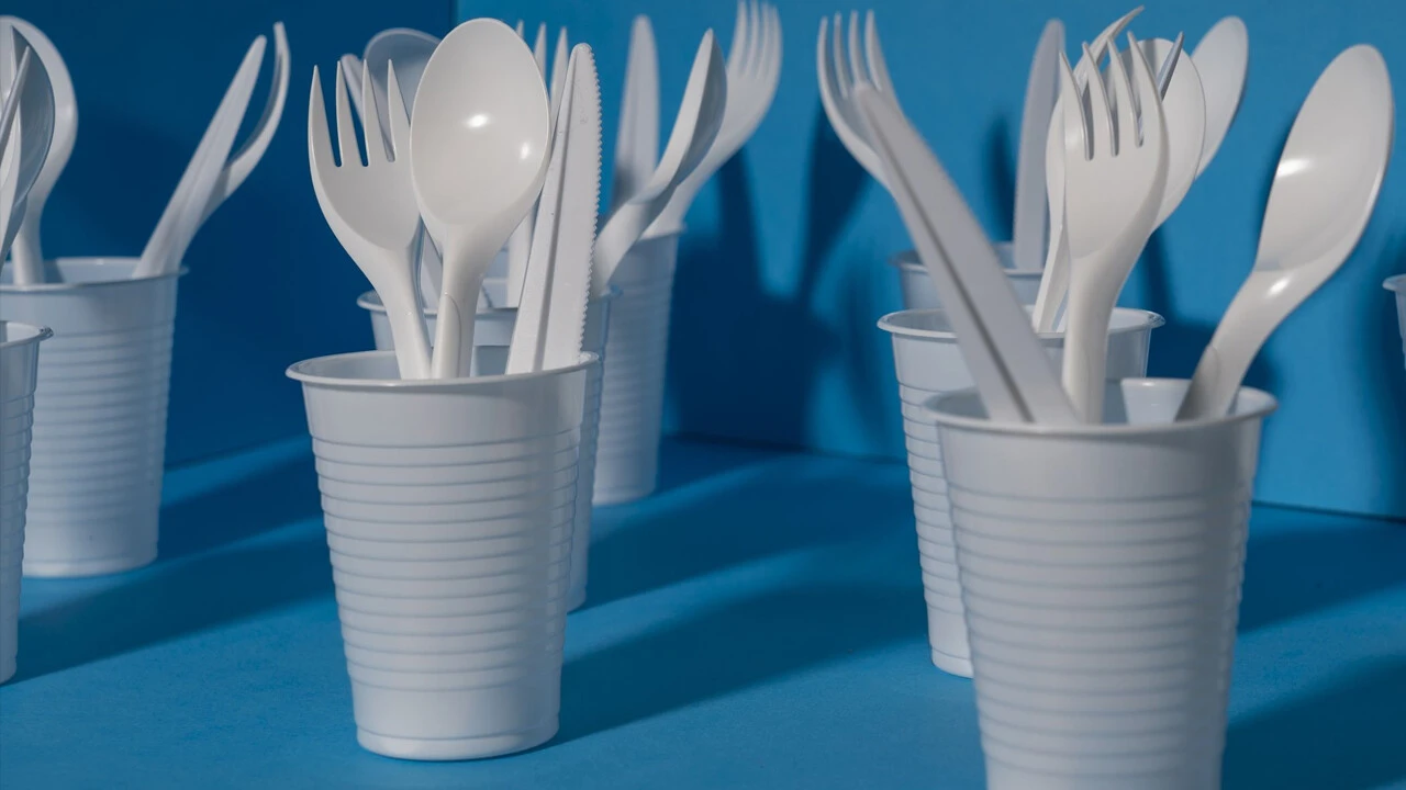 Tek Kullanımlık Plastikler Türkiye’de Yıl Sonunda Yasaklanıyor3