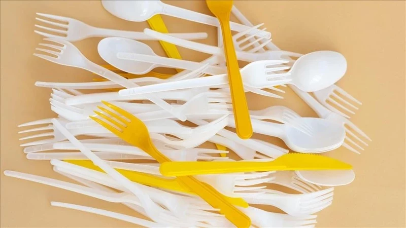 Tek Kullanımlık Plastikler Türkiye’de Yıl Sonunda Yasaklanıyore