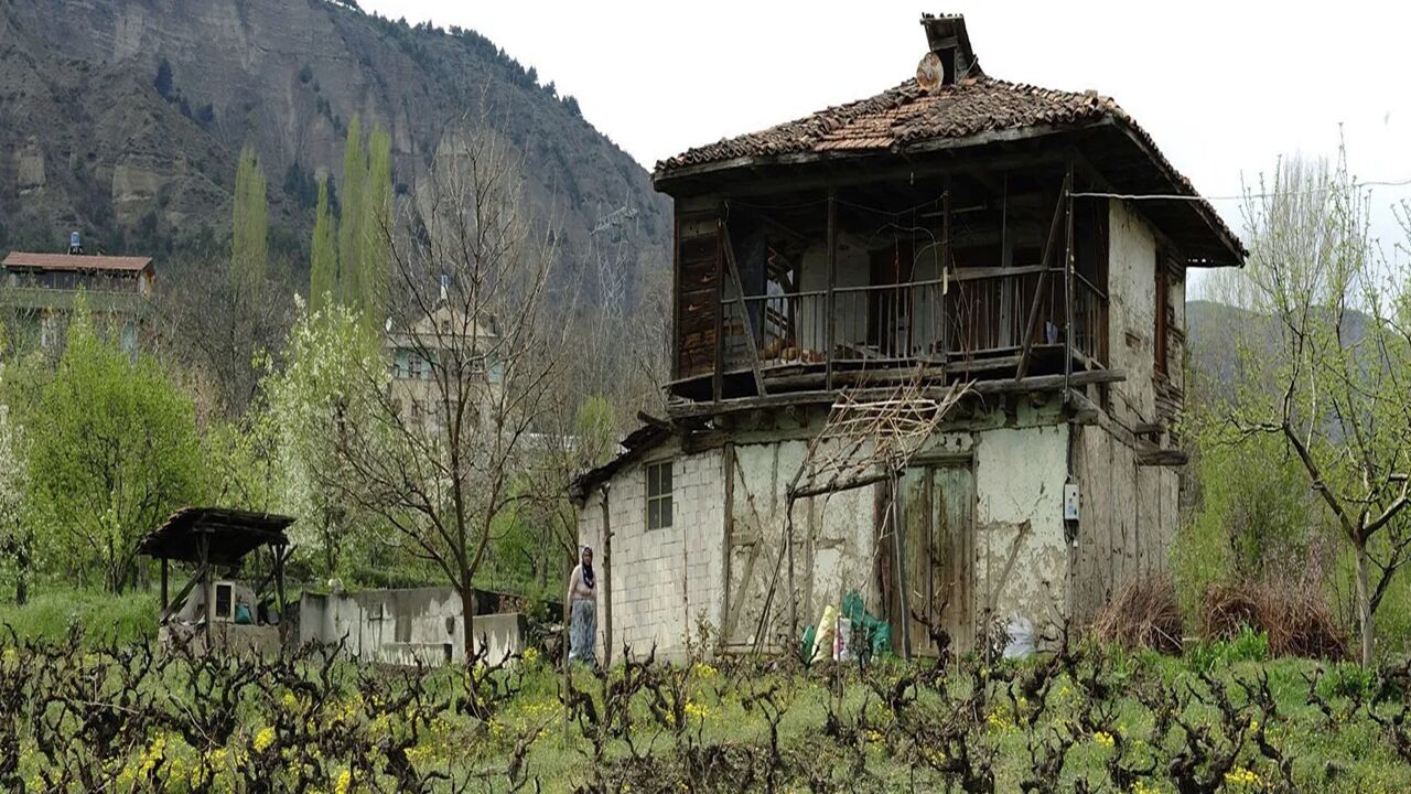 Tosya Bağevleri (2)