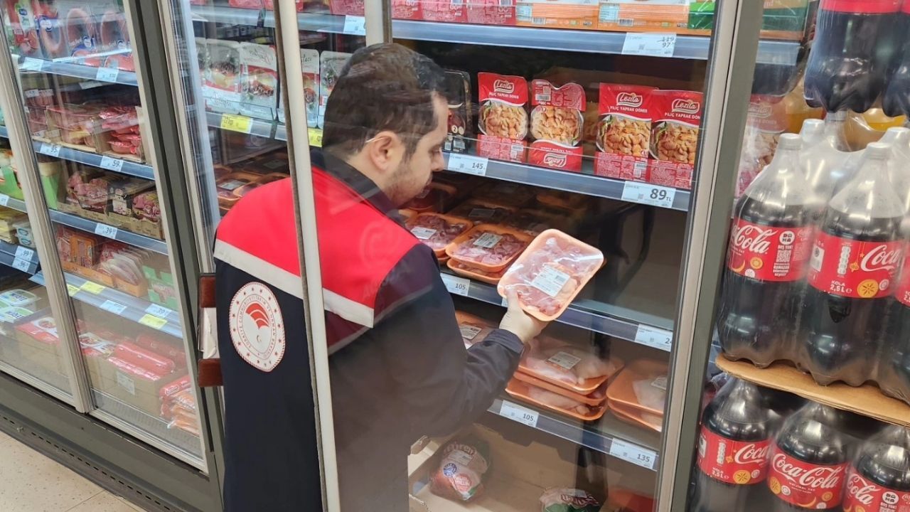 Tosya Gıda Denetim (2)