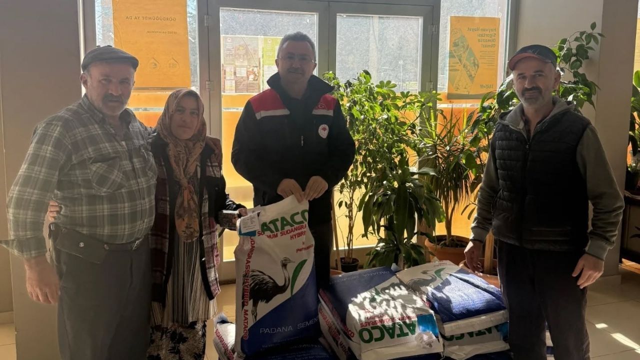 Tosya Sudan Otu Tohumu (2)