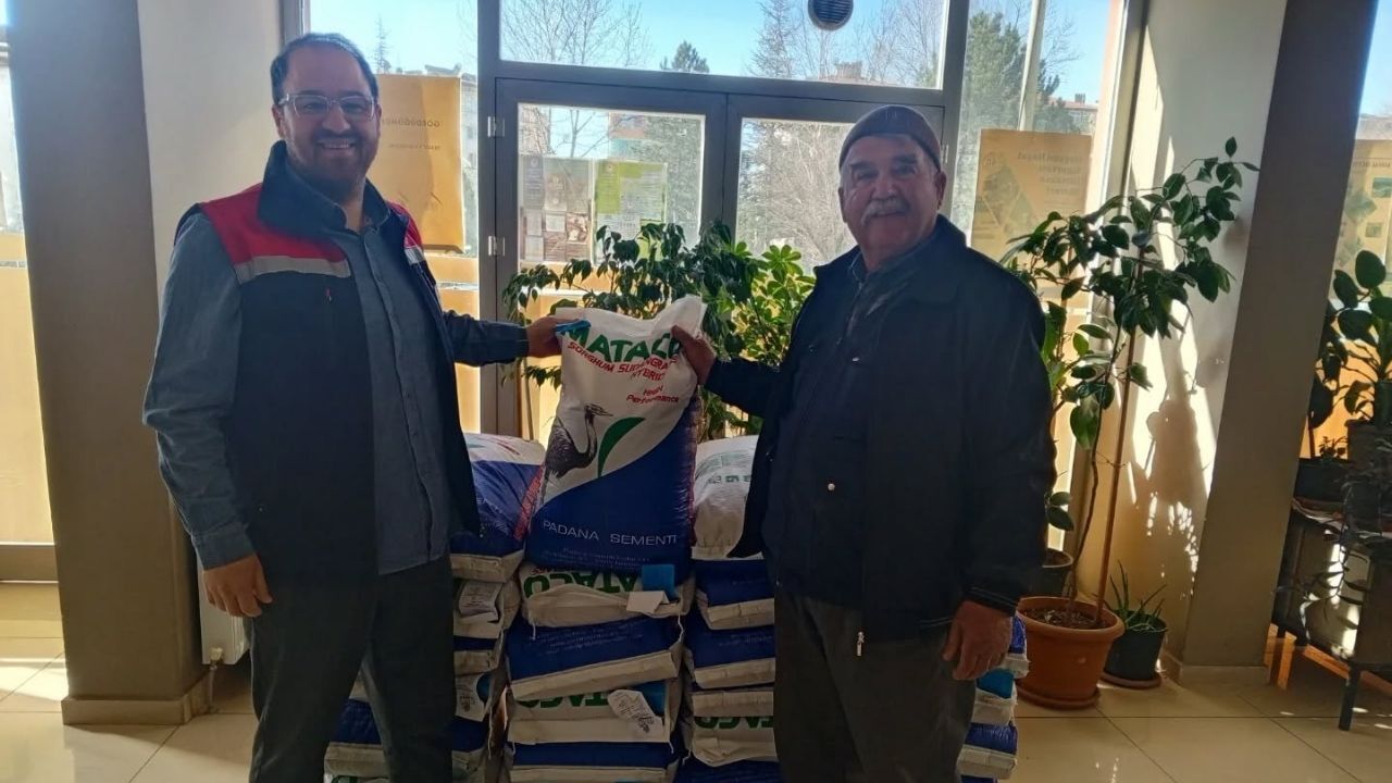 Tosya Sudan Otu Tohumu (3)