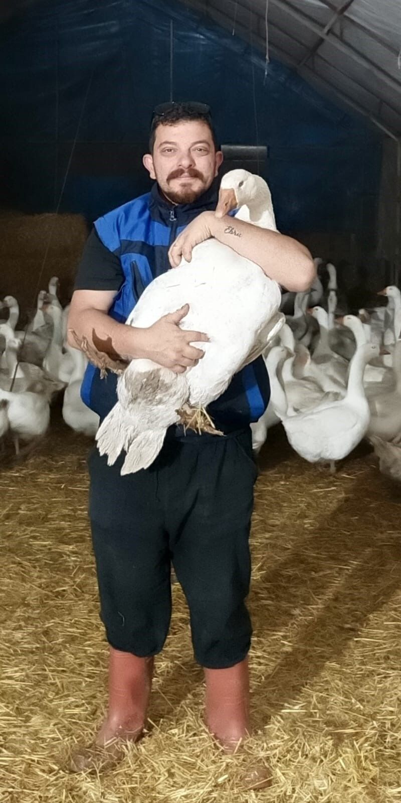 Türkiye’de Kaz Üretiminde Yeni Dönem Başlıyor1