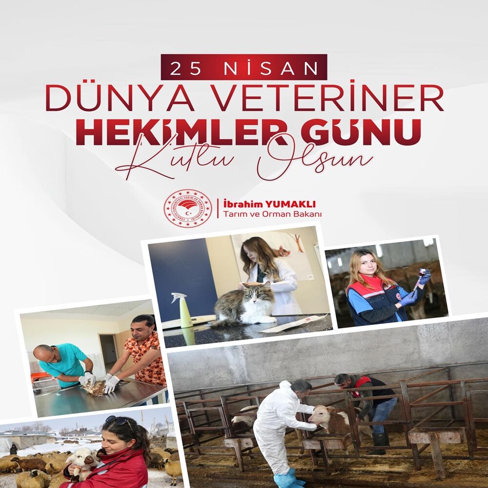 680755035 866937673088952 2938401317808382333 N