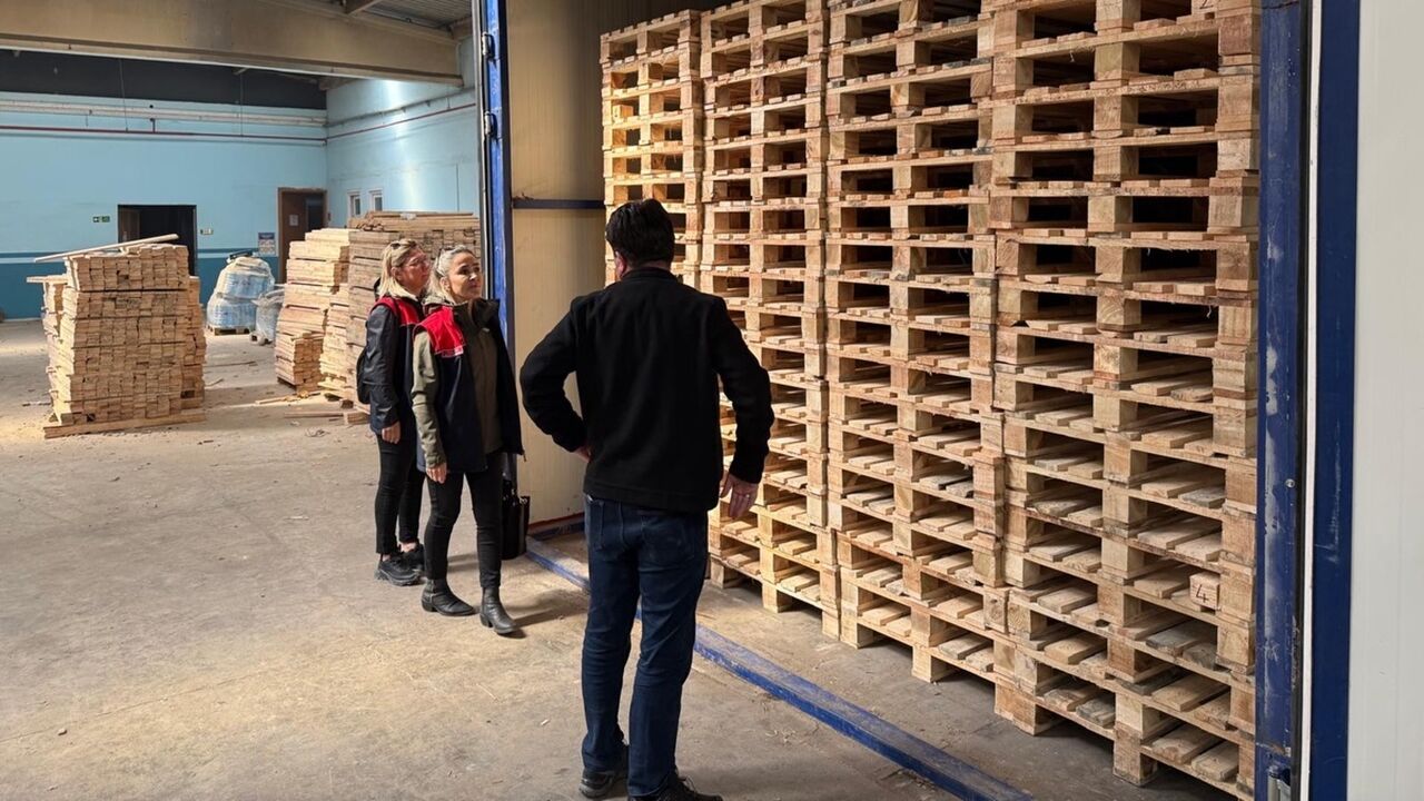 Ahşap Denedim Tarım (2)