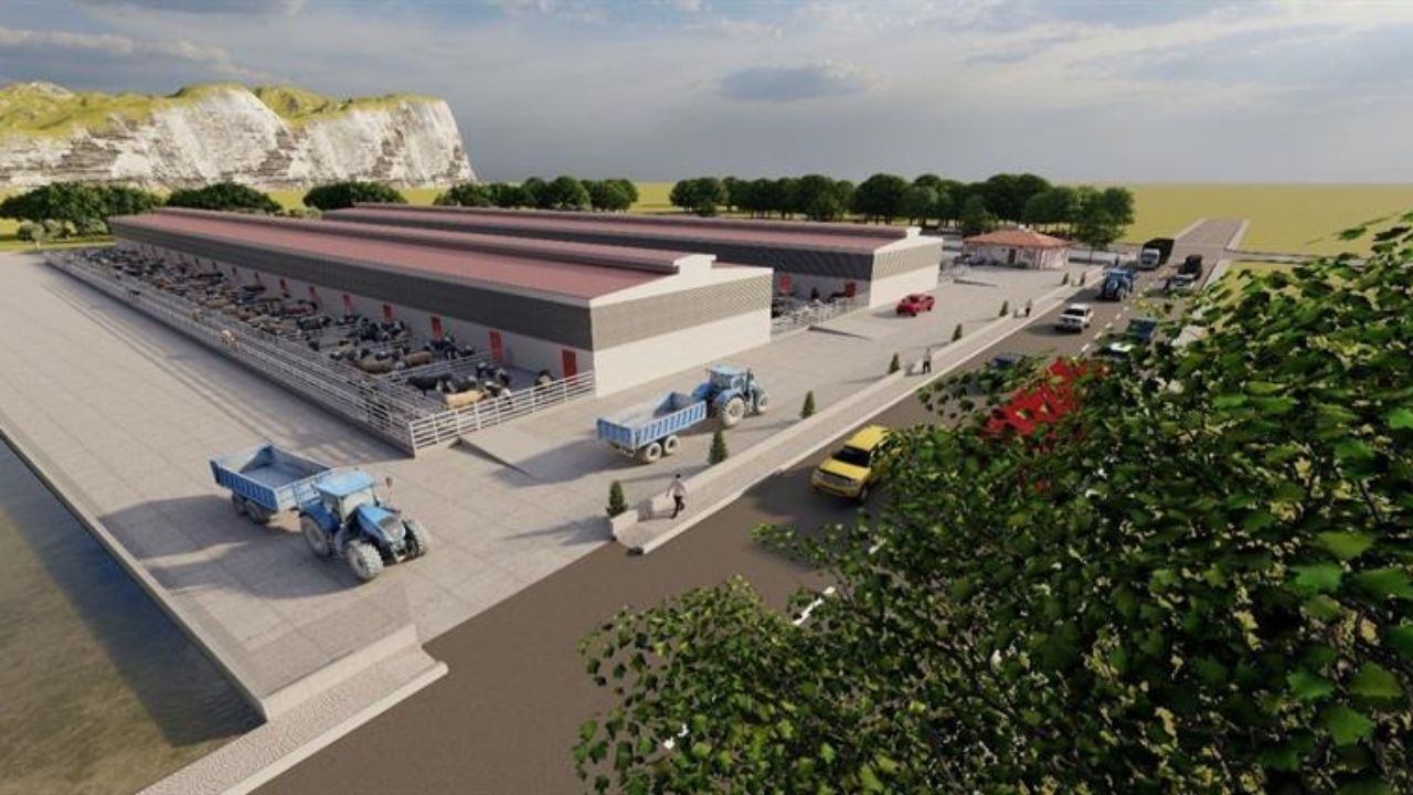 Bakan Yumaklı Devrekani Besi (2)