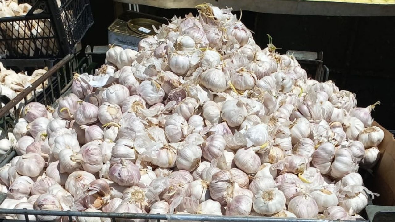 Başkent’te Taşköprü Sarımsağı Hilesi Tüketici Neye Dikkat Etmeli (2)