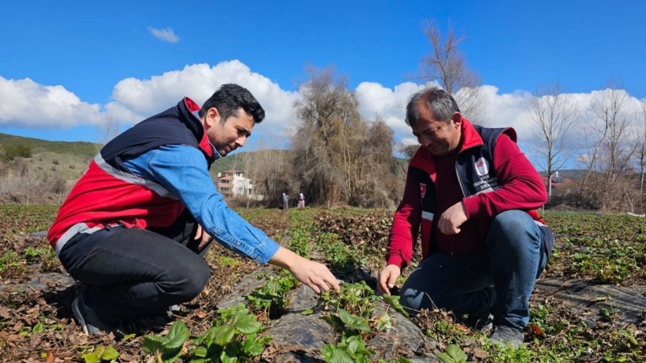 Bitkisel Üretime Büyük Hamle Kastamonu’ya 290 Milyon Tl Destek (2)