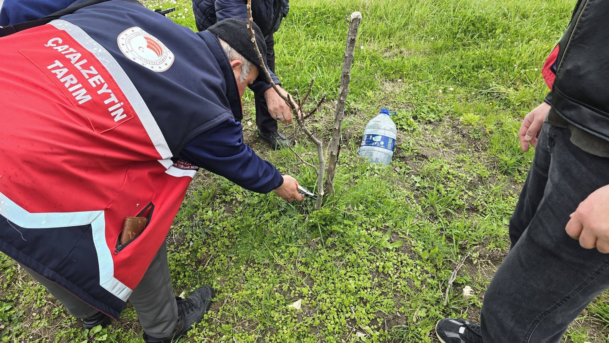Çatalzeytin’de Tarım Eğitimi Bahçelerde Gerçekleştirildi1