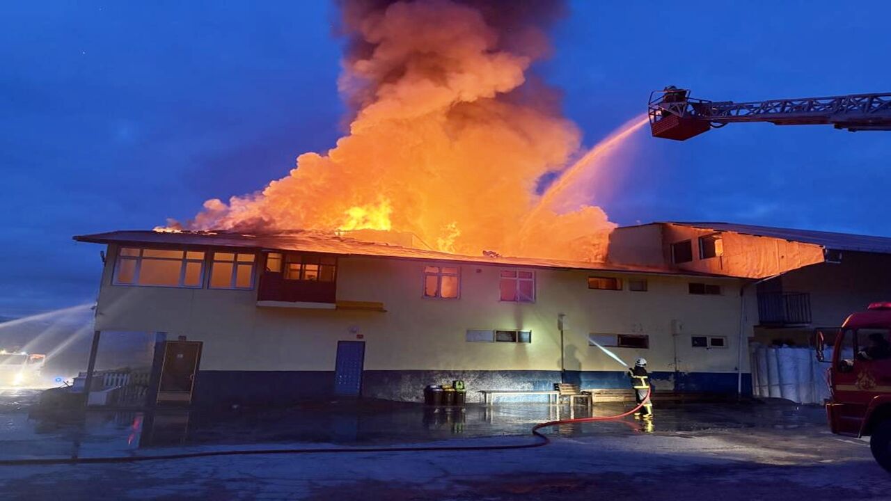 Devam Tosya Feabrika (2)