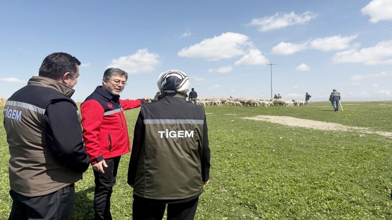 Ibrahim Yumaklı Koyun Keçi Destek (2)