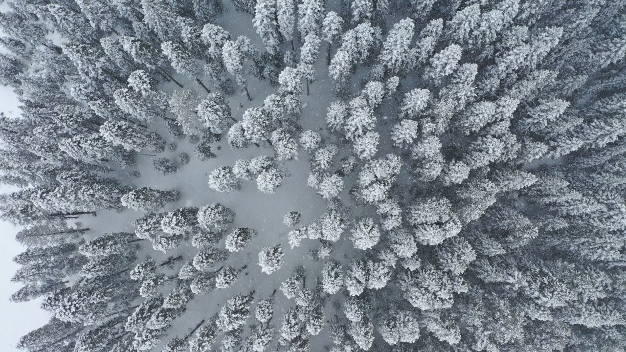 Ilgaz Dağı’nda Baharı Unutturan Kar Manzarası Drone Ile Görüntülendi (5)