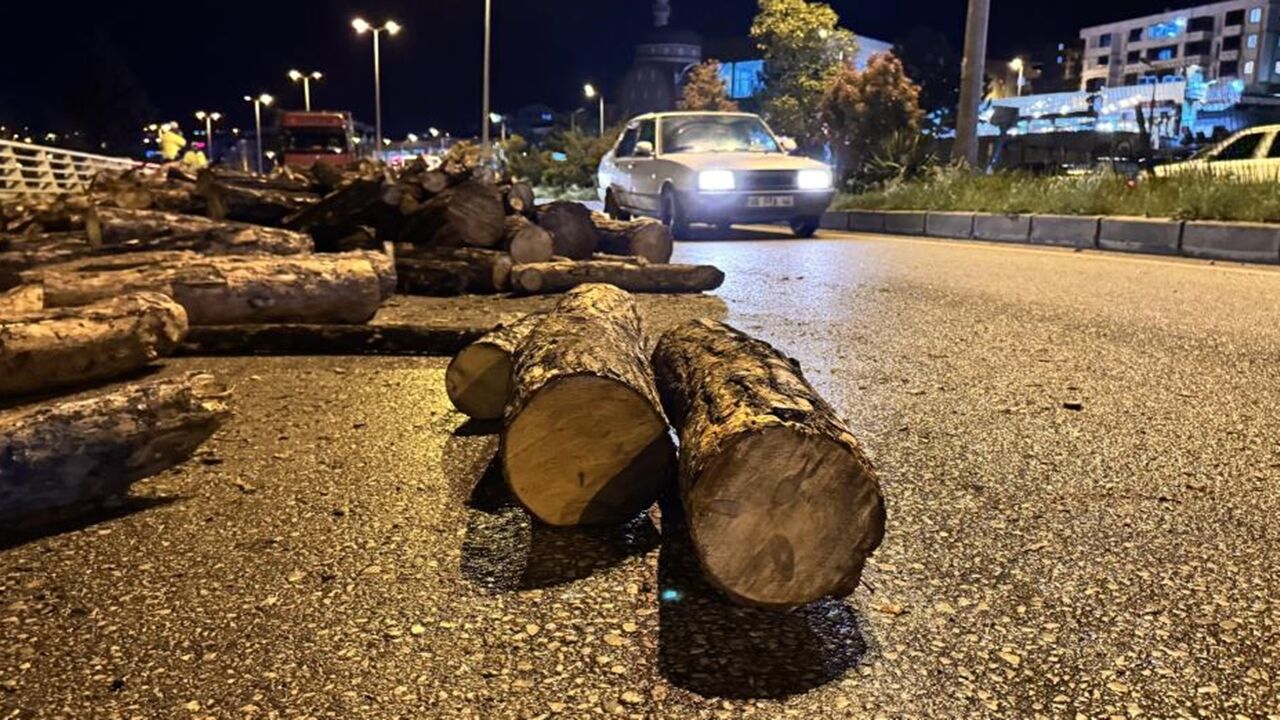 Kamyon Damper Odunlar Saçıldı (1)