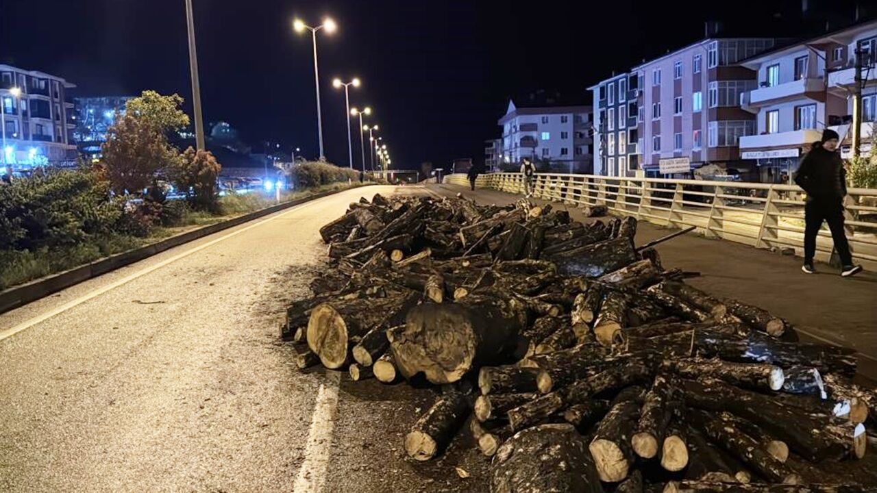 Kamyon Damper Odunlar Saçıldı (2)