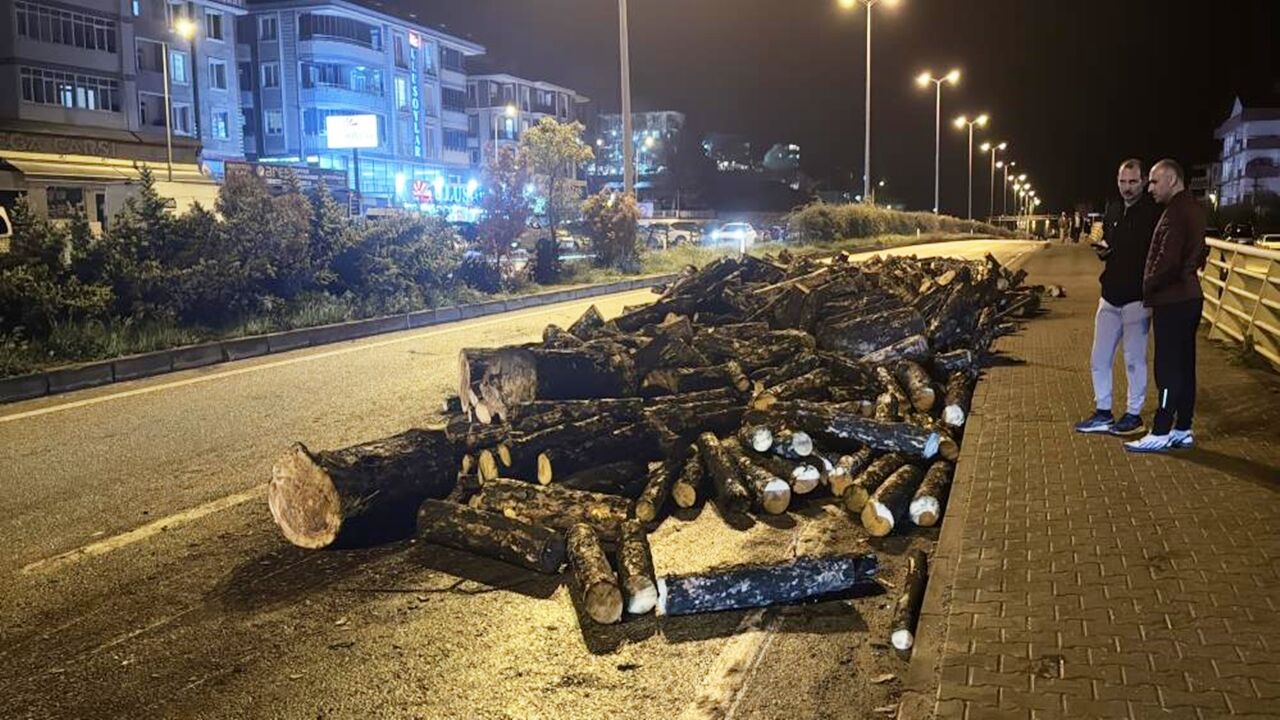 Kamyon Damper Odunlar Saçıldı (3)