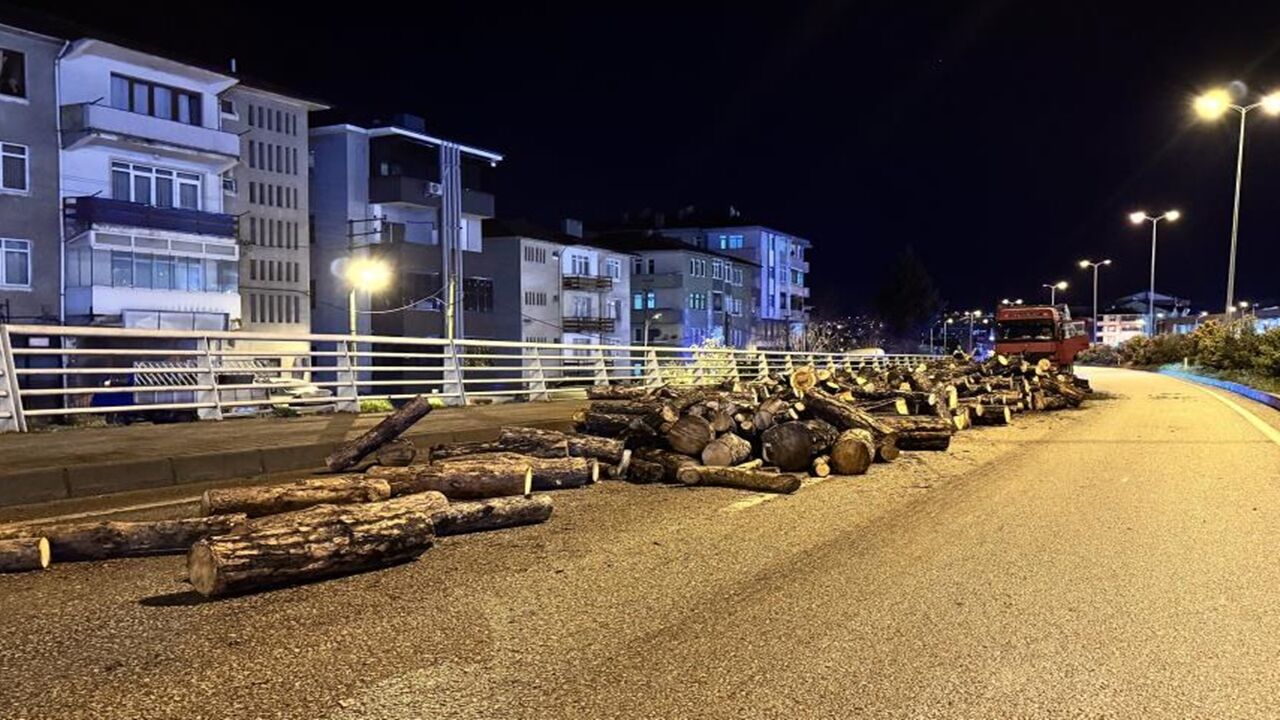 Kamyon Damper Odunlar Saçıldı (5)