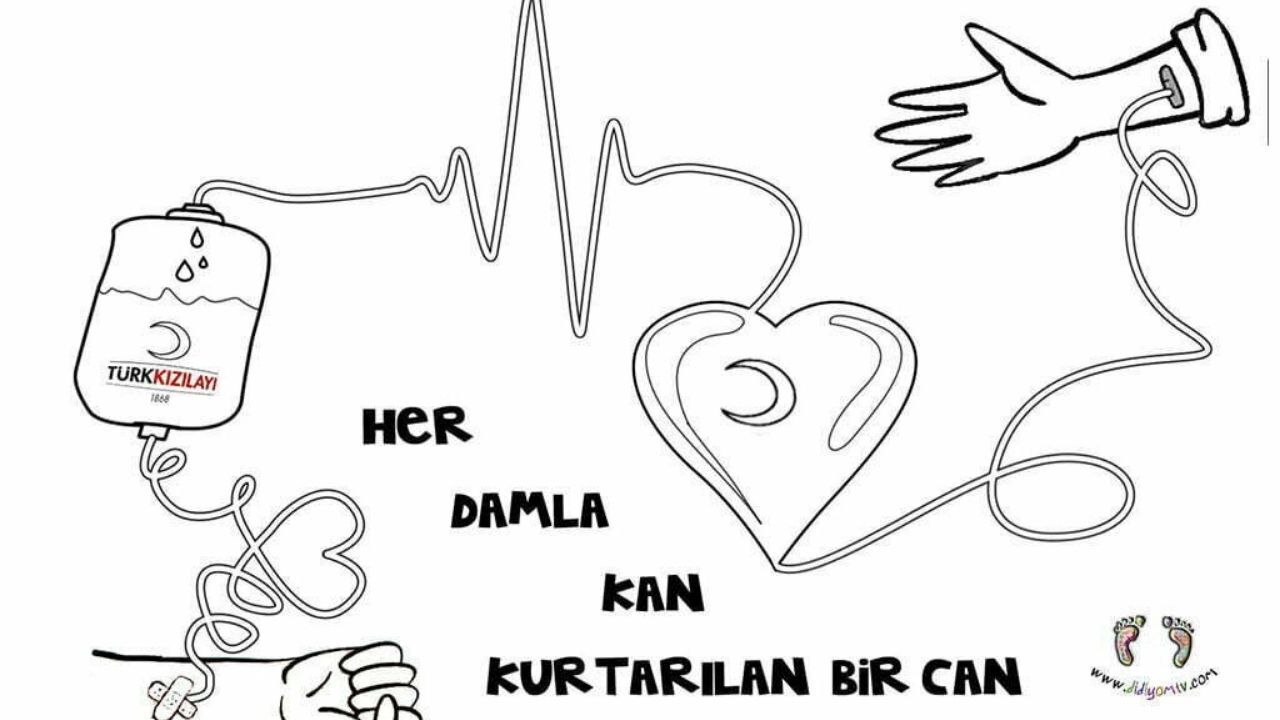 Kan Kardeşim… (6)