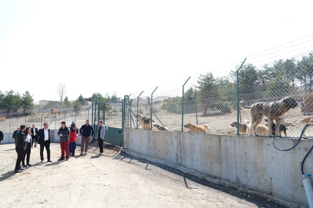 Kastamonu Belediye Başkanı Baltacı 'Can Dostlarımız Için Çalışmaya Devam Edeceğiz' 12-3