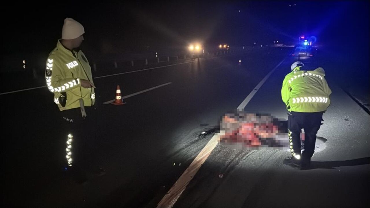 Kastamonu Karabük Feci Kaza Ata Çarptı (3)