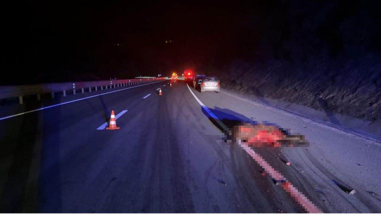 Kastamonu Karabük Feci Kaza Ata Çarptı (5)