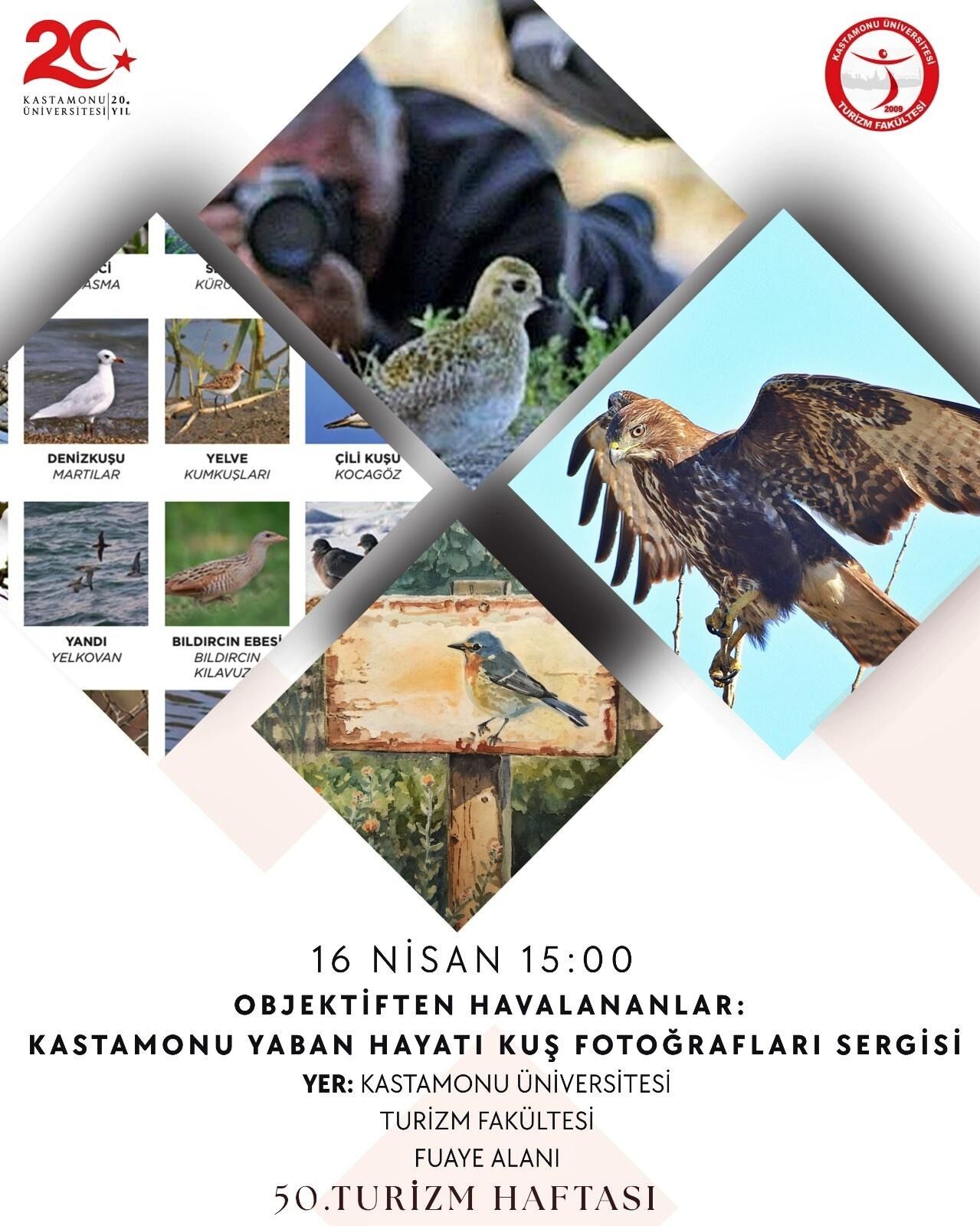 Kastamonu Kuş Fotoğrafları Sergisi Açılıyor Doğa Ve Yaban Hayatı Buluşması1