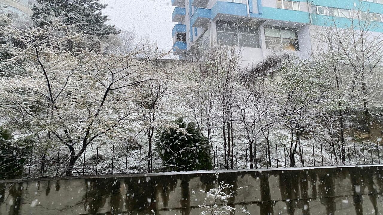 Kastamonu Merkez Kar Yağışı (3)