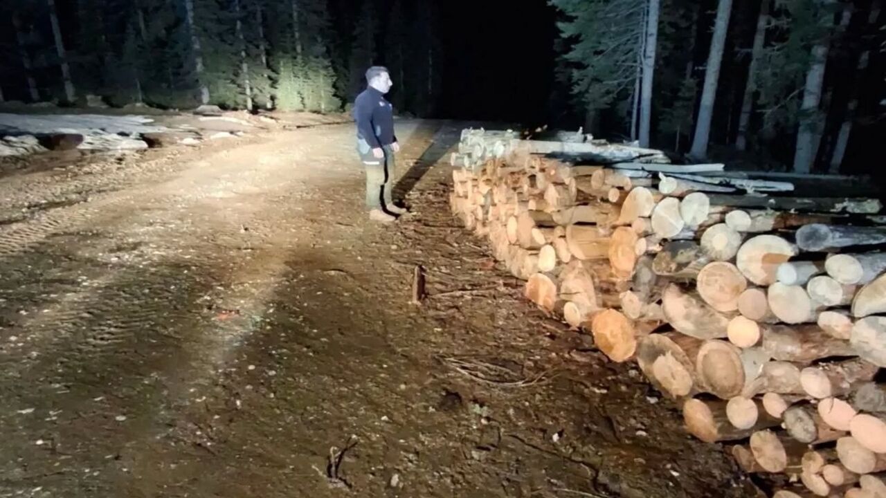 Kastamonu Orman Araç (1)