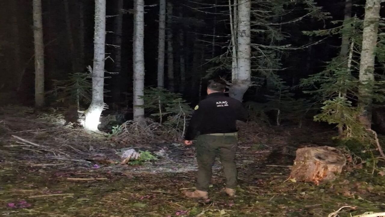 Kastamonu Orman Araç (2)