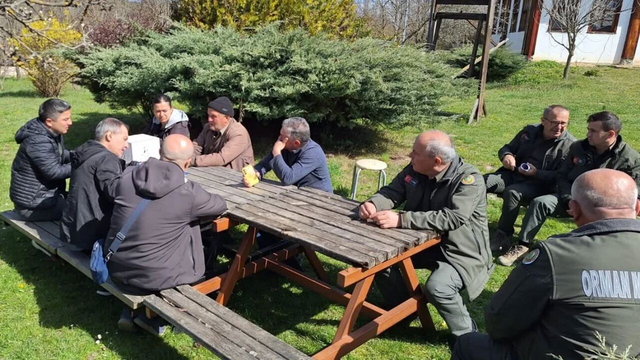 Kastamonu Orman Orköy (1)