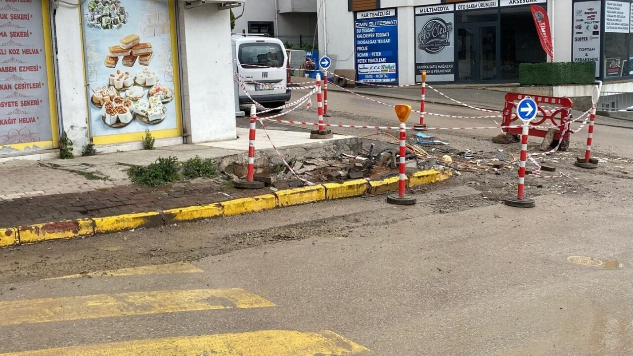 Kastamonu Plakalı Kamyon Yaşlı Adamı Hayattan Kopardı (1)