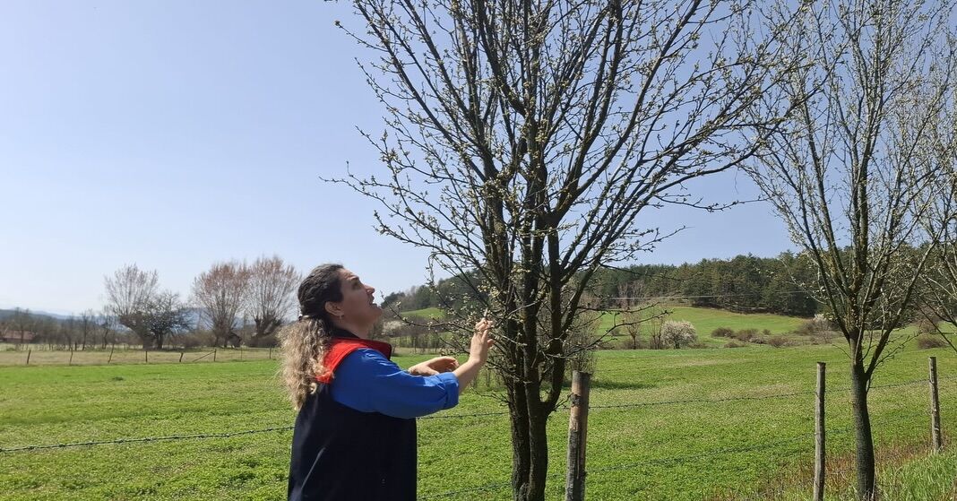 Kastamonu'da Bahçelerde Don Kontrolü Yapıldı 22