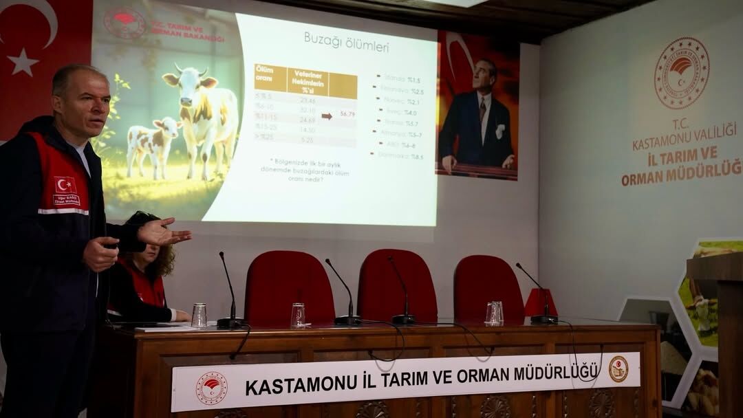 Kastamonu'da Buzağı Kayıplarına Karşı Kritik Toplantı! 12