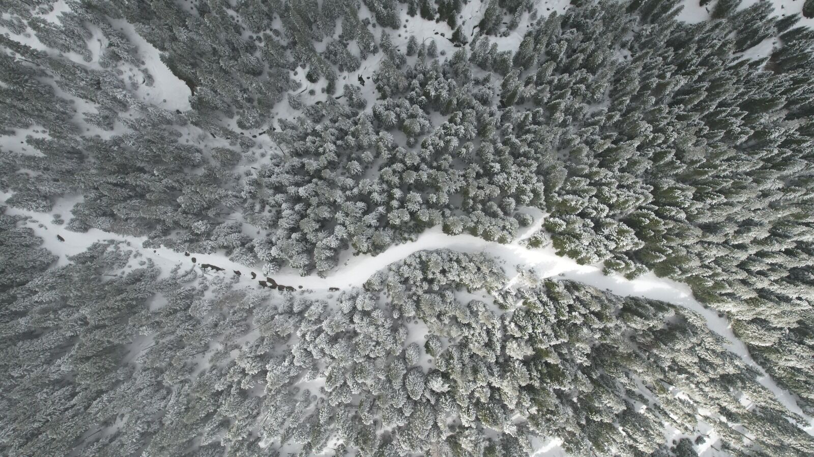 Kastamonu'da Kar Yağışının Beyaza Bürüdüğü Dağ Ilgi Görüyor 4
