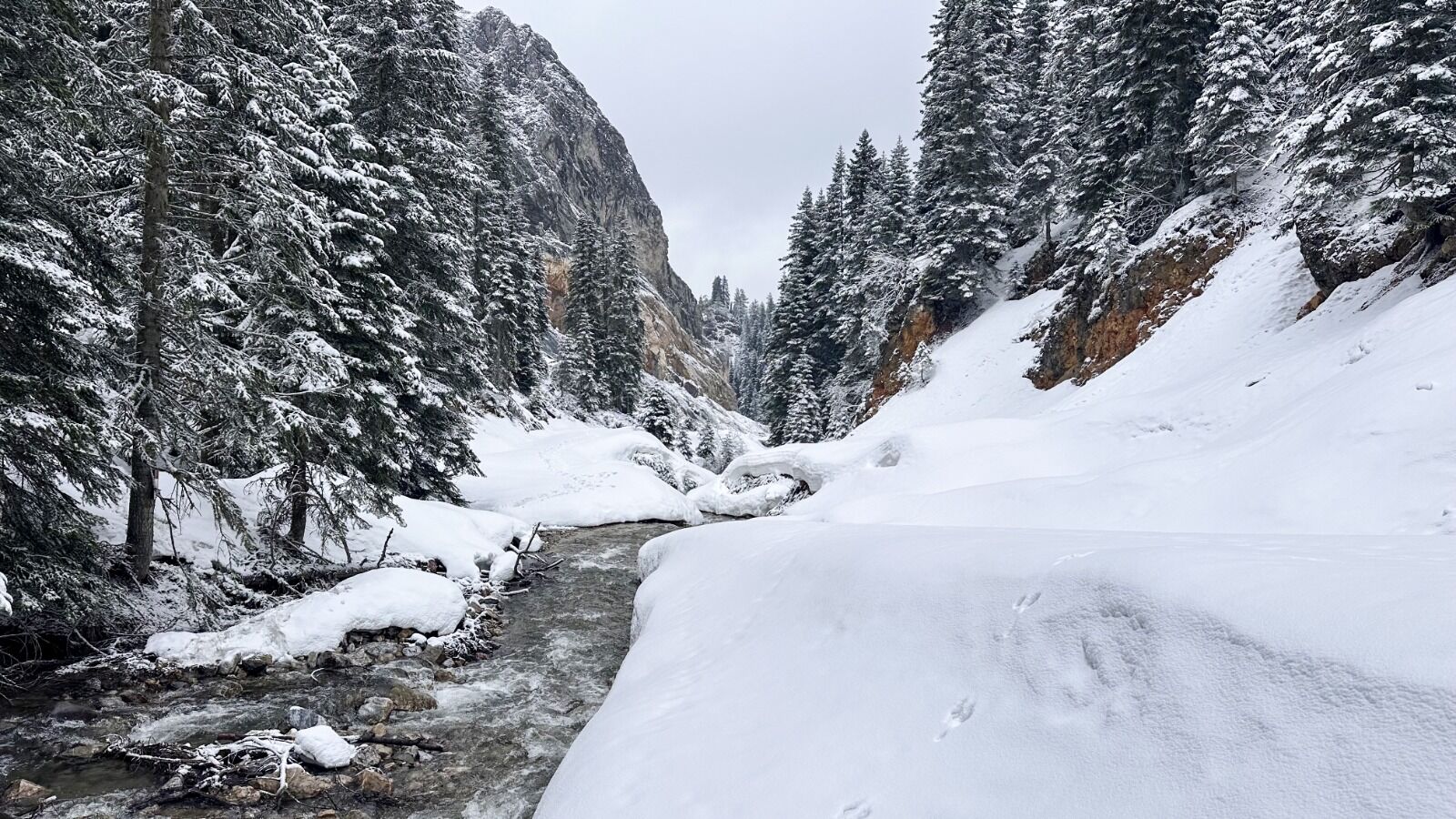 Kastamonu'da Kar Yağışının Beyaza Bürüdüğü Dağ Ilgi Görüyor 44